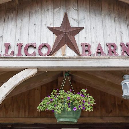 Calico Barn Vandrehjem Widdrington Eksteriør billede
