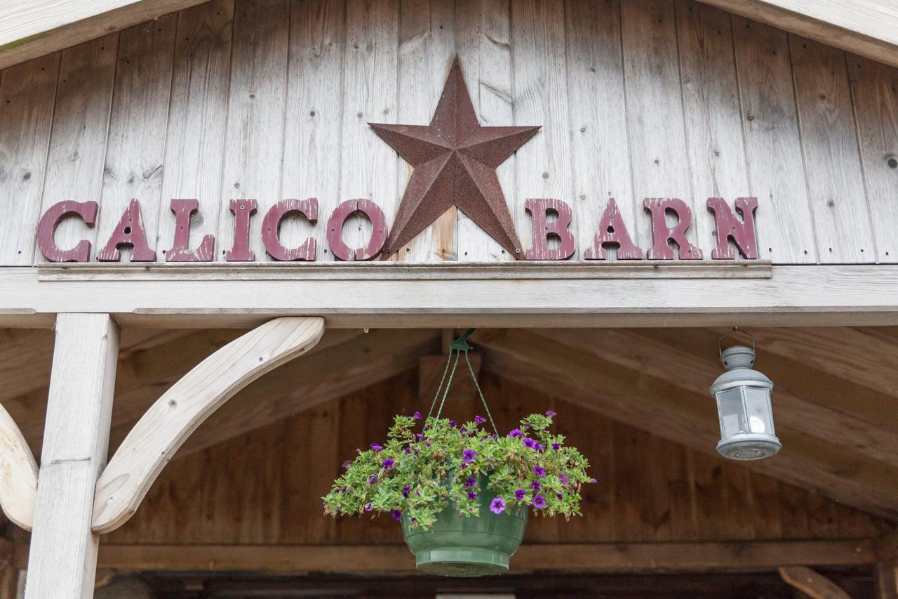 Calico Barn Vandrehjem Widdrington Eksteriør billede